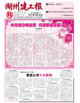 ��������2017�꼯�Ź�˾ʮ������